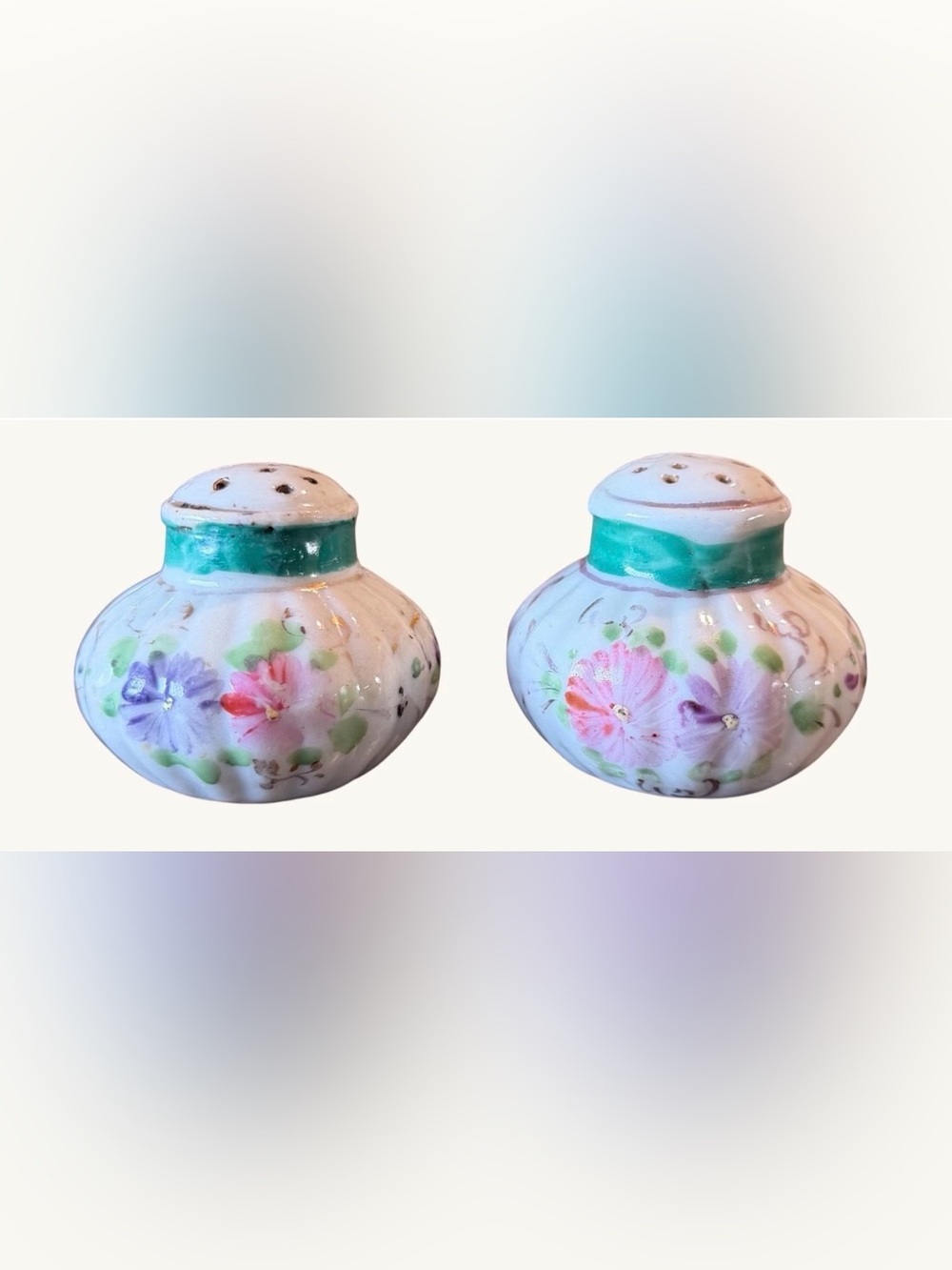 Vintage Hand-Painted Porcelain Salt and Pepper Shaker Set Floral Round/Squat